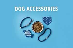 dog accessories