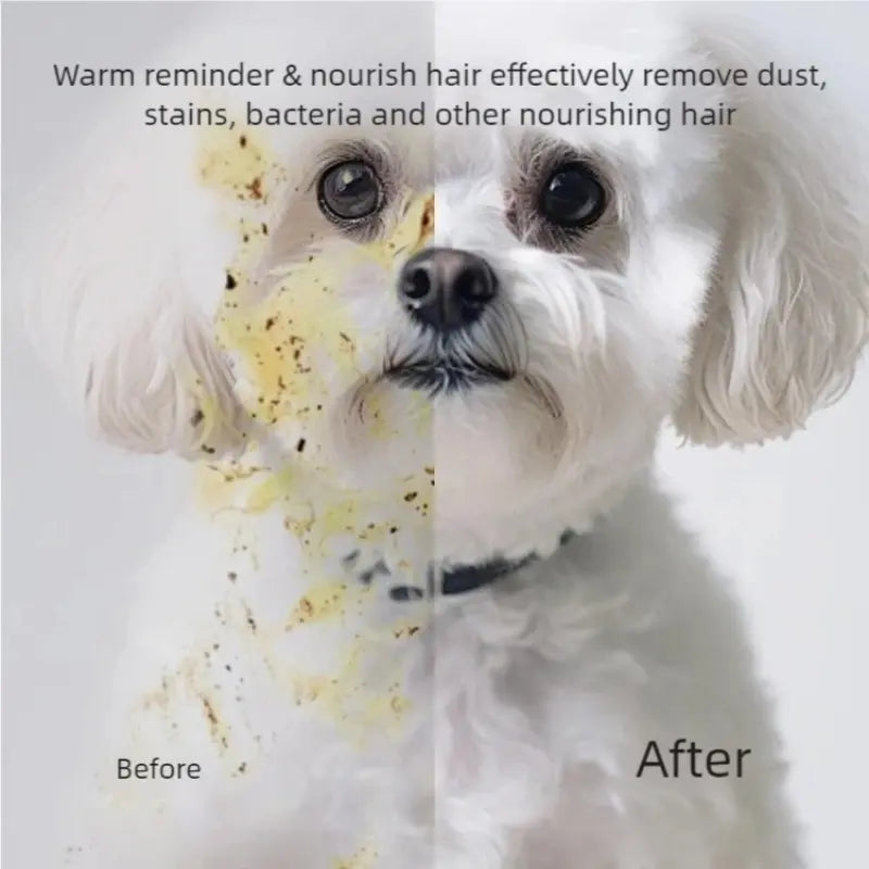 Eco-Friendly Pet Wipes for Dogs and Cats - Daily Care Disposable Grooming Gloves, 6 Travel-Friendly Sheets