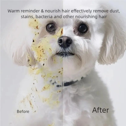 Eco-Friendly Pet Wipes for Dogs and Cats - Daily Care Disposable Grooming Gloves, 6 Travel-Friendly Sheets