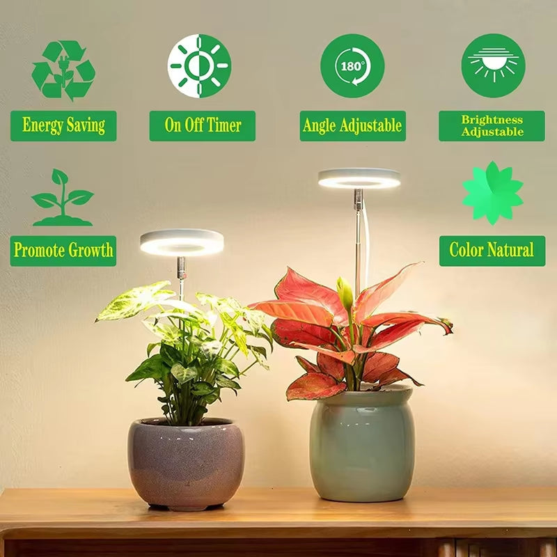 Full Spectrum Indoor Solar LED Growth Light, 4 Gear Dimming, Fleshy Viridiplantae, Flower F...