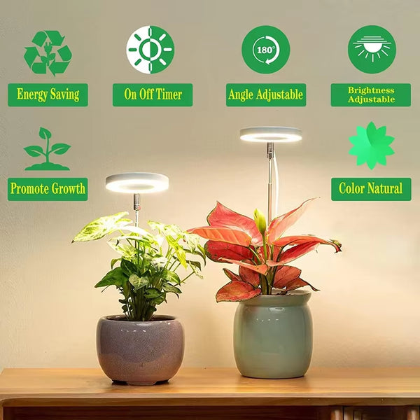 Full Spectrum Indoor Solar LED Growth Light, 4 Gear Dimming, Fleshy Viridiplantae, Flower F...