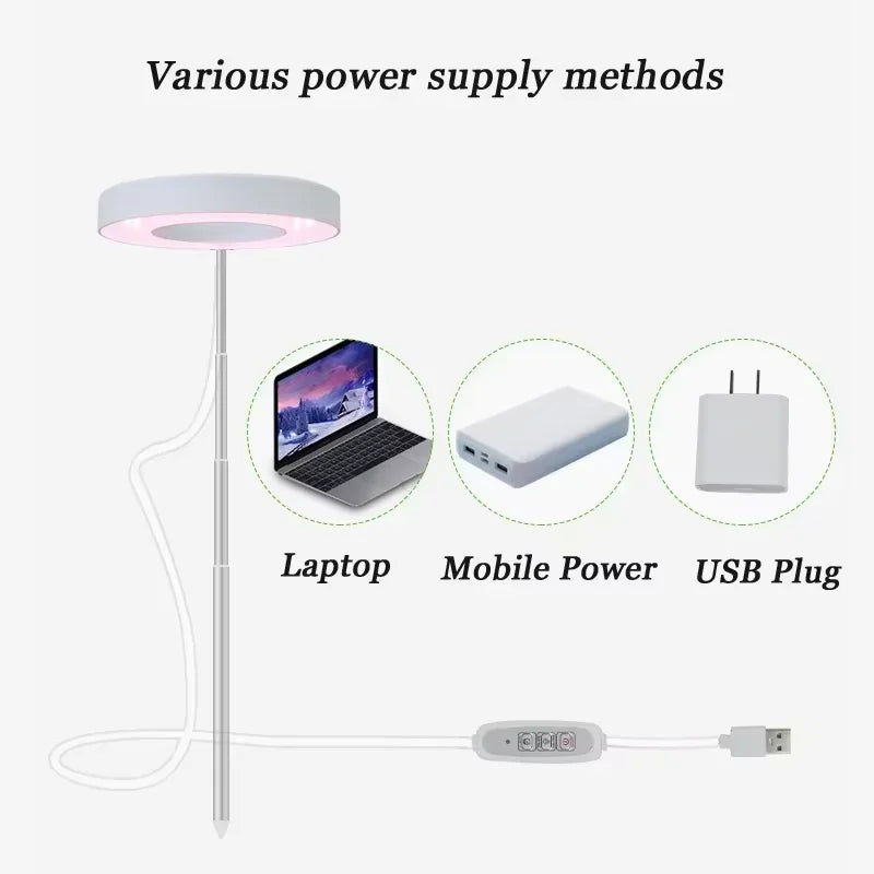 Full Spectrum Indoor Solar LED Growth Light, 4 Gear Dimming, Fleshy Viridiplantae, Flower F...