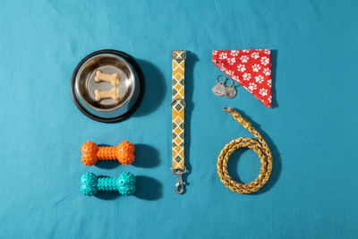 dog accessories